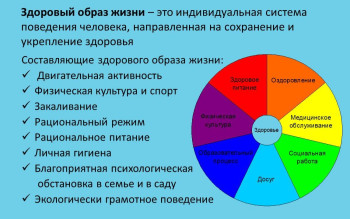 7 правил здорового образа жизни 7 правил здорового образа жизни.